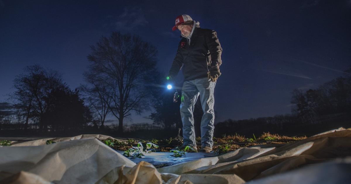Climate change leads to warmest start of any year in NC