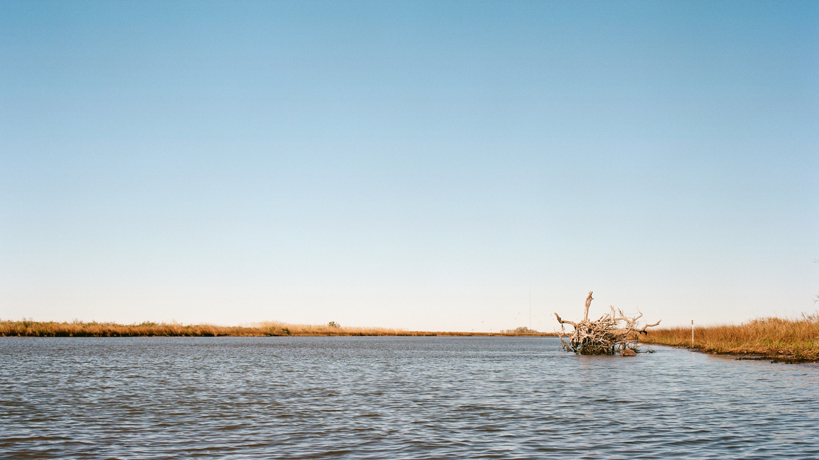 How Louisiana’s Indigenous Tribes Fight Climate Change