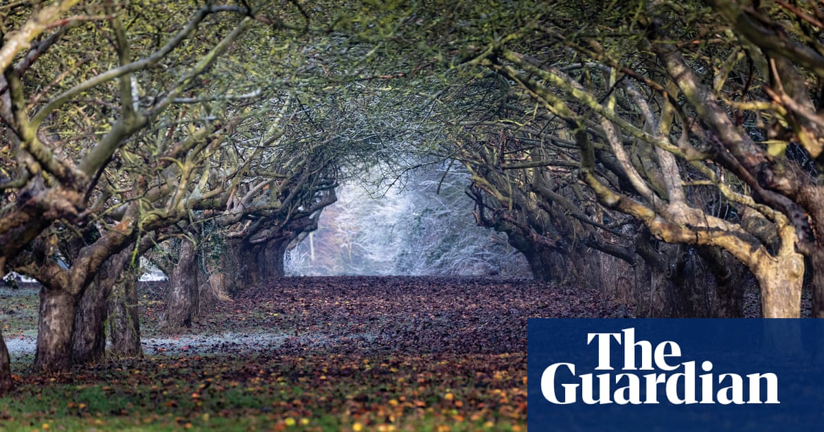 Hundreds of trees to be felled for Cambridge bus route to tackle climate change