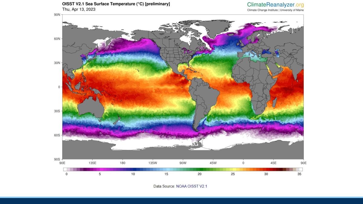 Ocean surface temperatures soar into record territory, hitting an all-time high this month