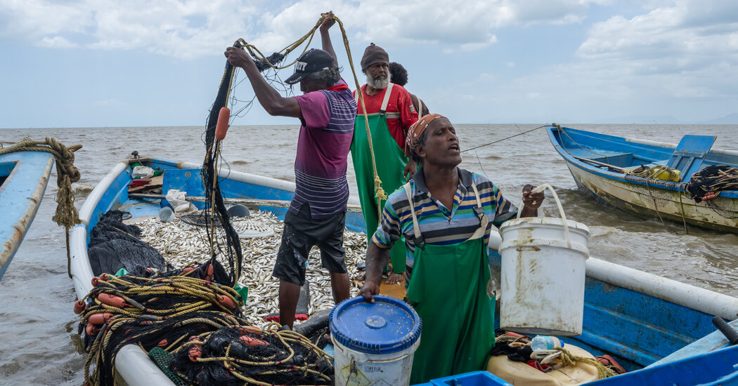 Climate Change Brings Warmer, Wetter Weather to Trinidad