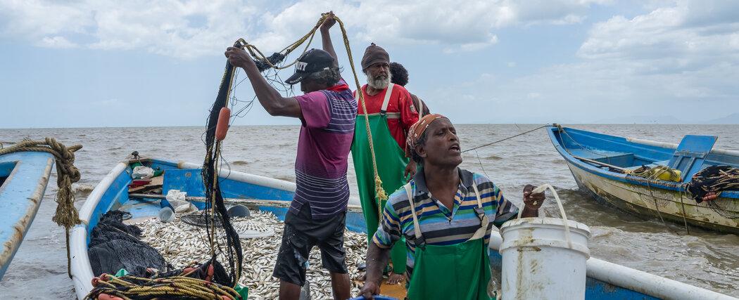 Climate Change Brings Warmer, Wetter Weather to Trinidad