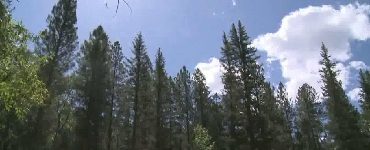 Potential floods in Santa Fe National Forest