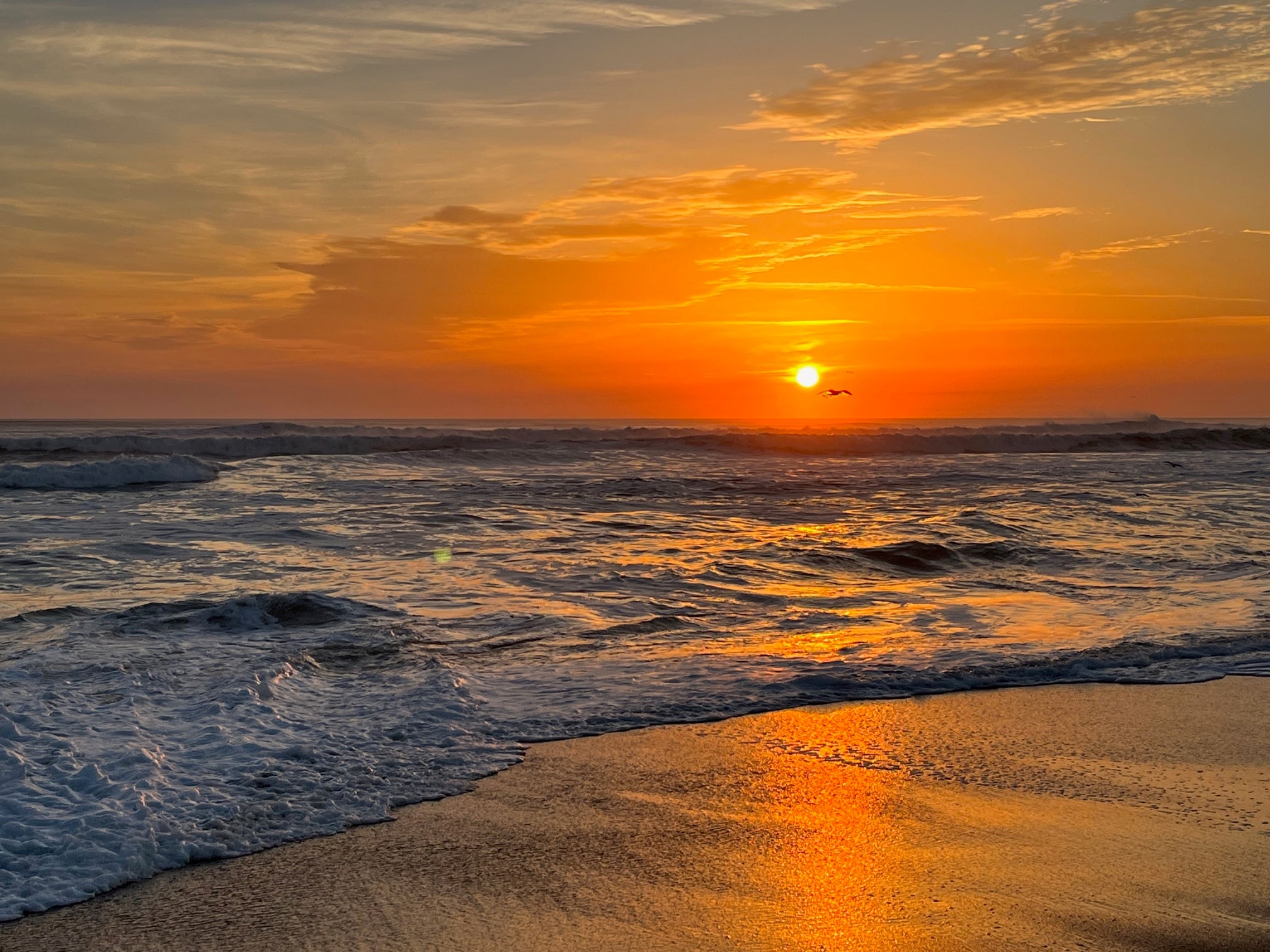 Ignore the doomsayers: The world is better than ever