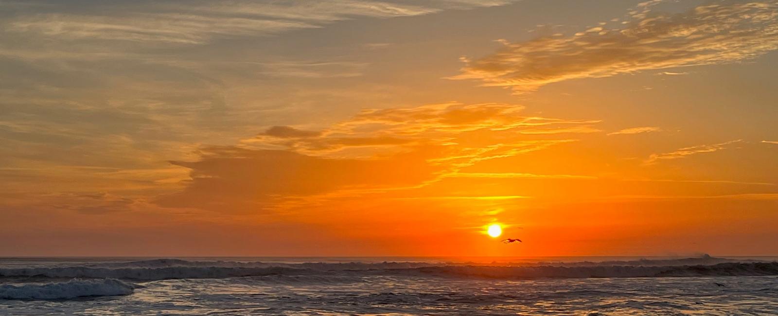 Ignore the doomsayers: The world is better than ever