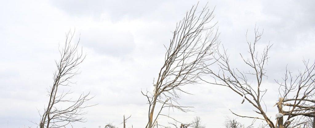 Are Tornadoes Linked to Climate Change? Scientists Explain
