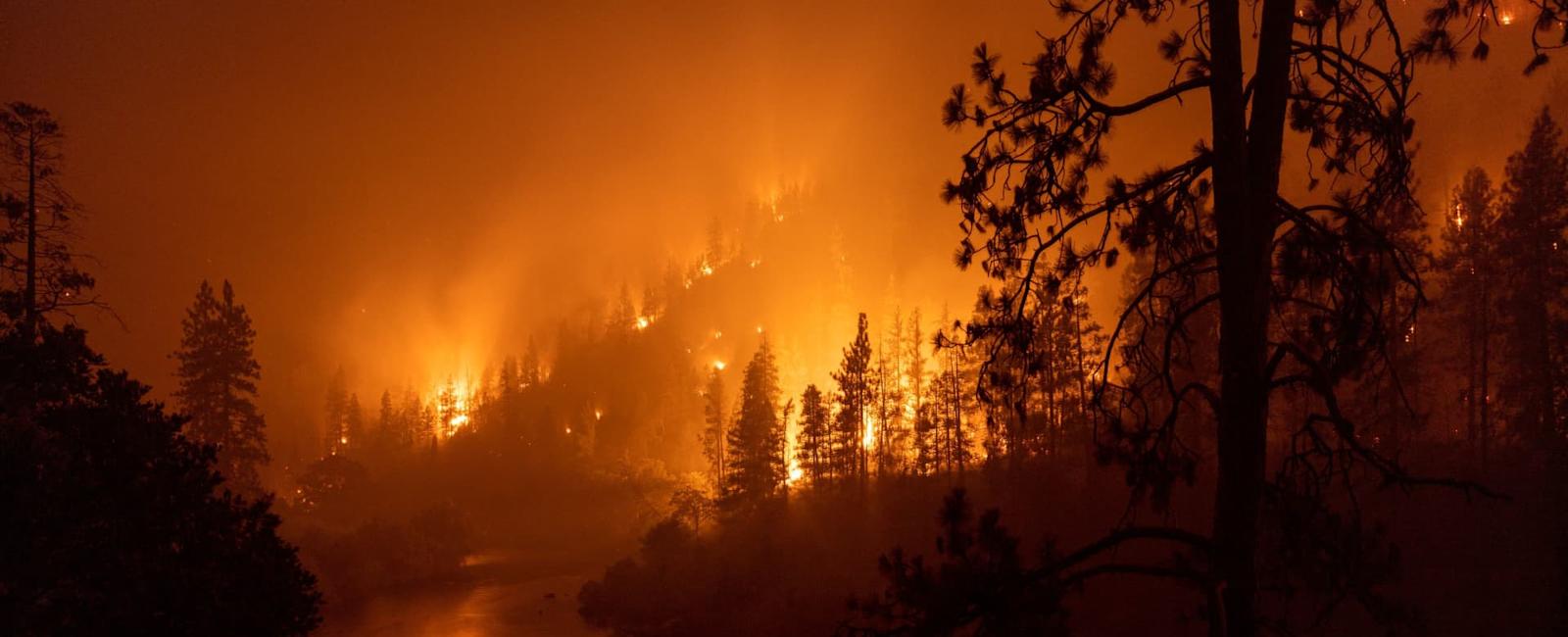 Climate change has fueled larger wildfires in California: scientists