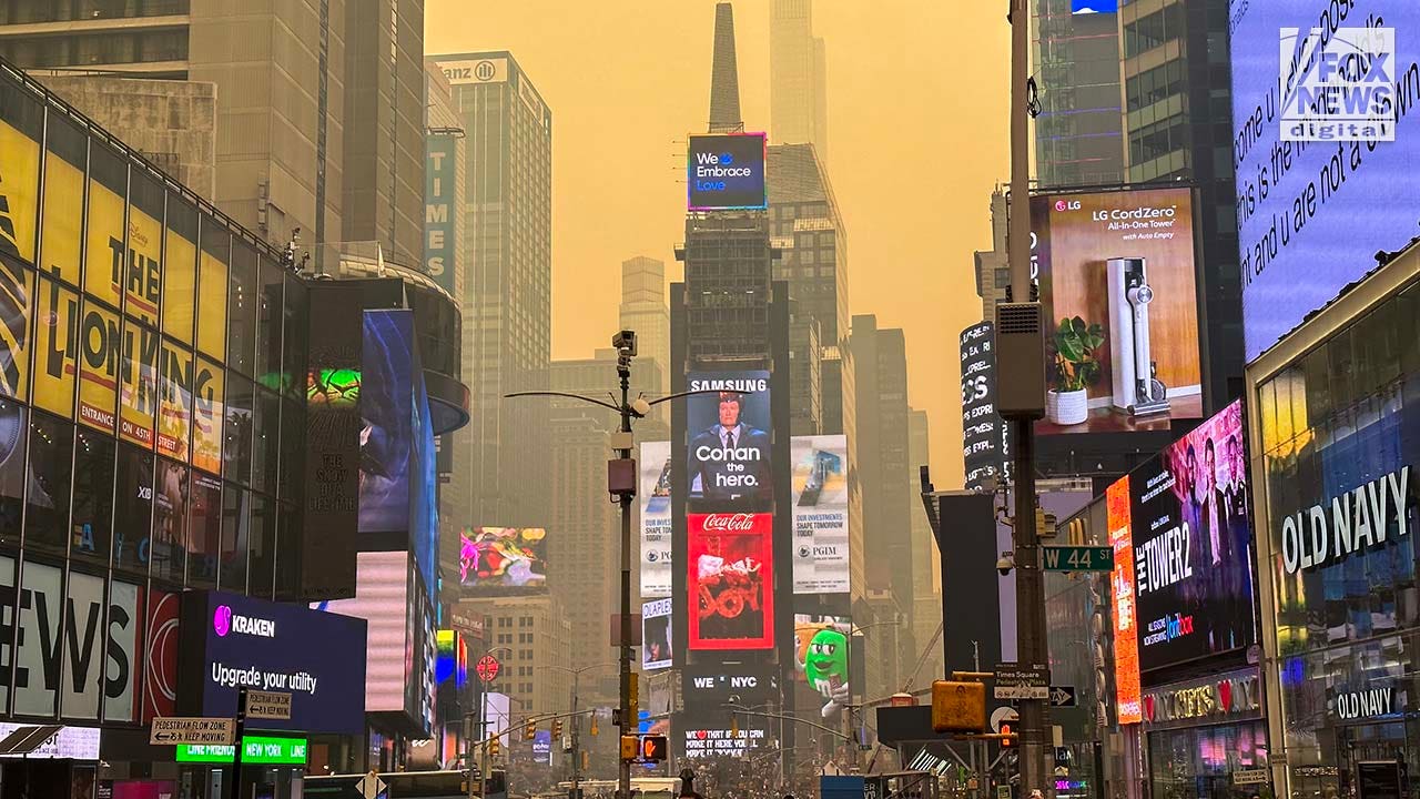 Climate change activists ignoring crucial factor behind wildfires, Trump admin secretary says