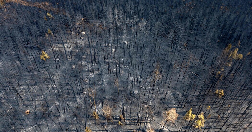 12 Million People Are Under a Heat Advisory in the Pacific Northwest
