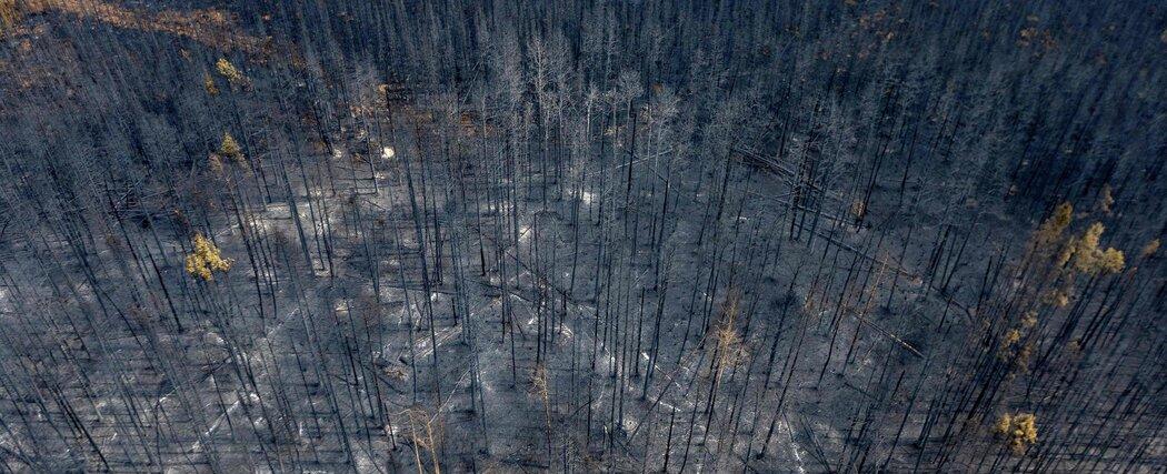 12 Million People Are Under a Heat Advisory in the Pacific Northwest