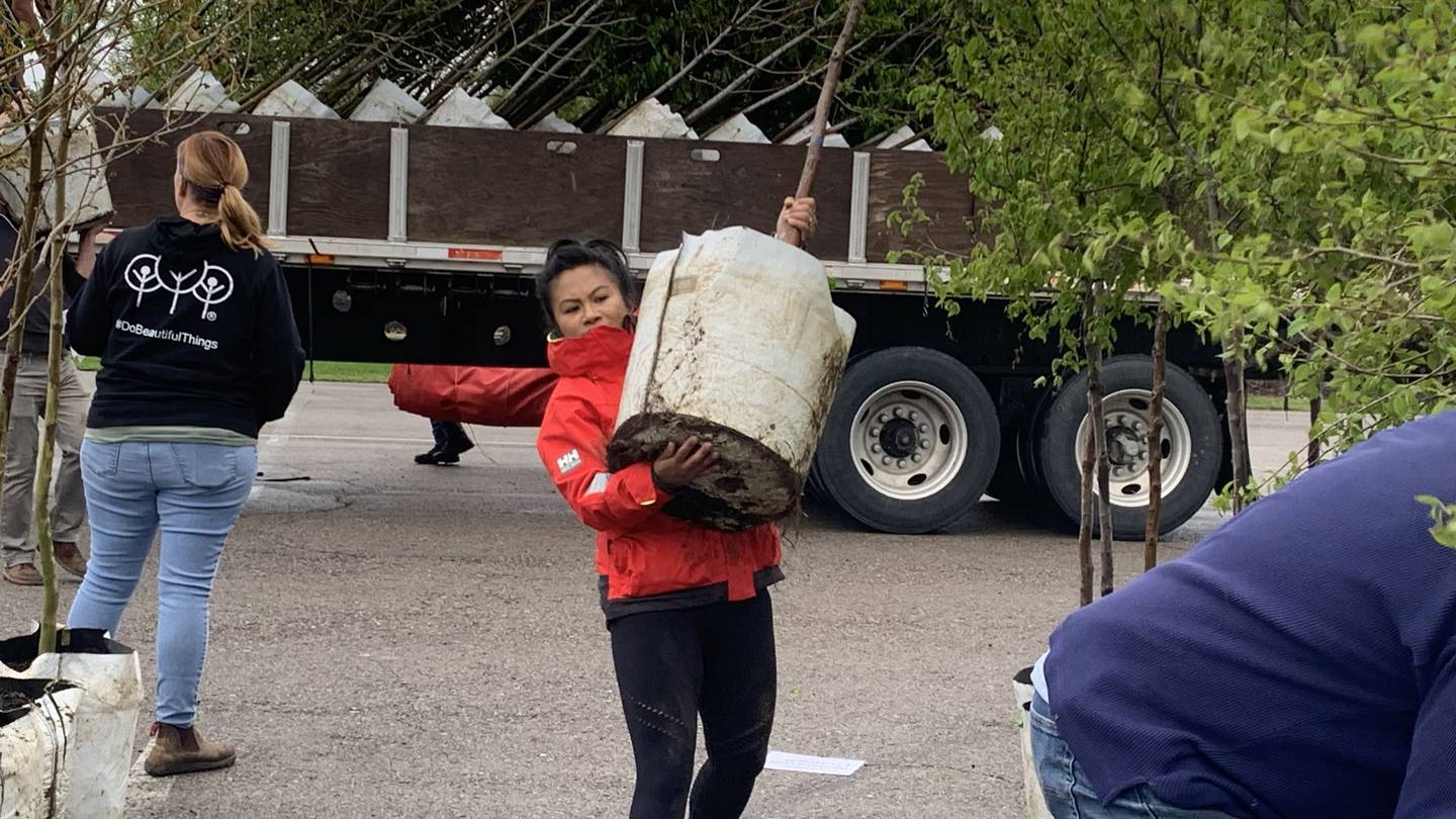 Volunteers to plant over 100 trees after 2019 tornados destroy the Miami Valleys treescape