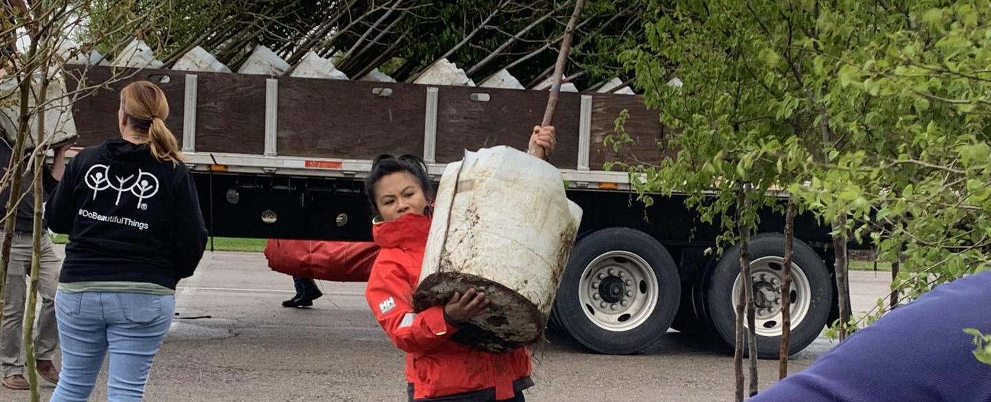 Volunteers to plant over 100 trees after 2019 tornados destroy the Miami Valleys treescape
