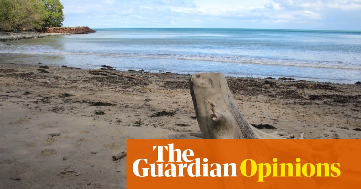 The sudden warming of Britain’s seas will tear through ocean life like a wildfire | Philip Hoare
