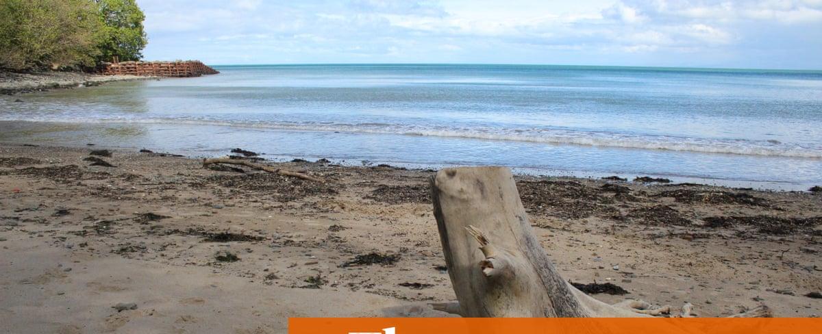 The sudden warming of Britain’s seas will tear through ocean life like a wildfire | Philip Hoare