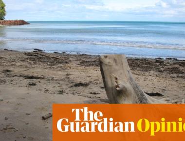 The sudden warming of Britain’s seas will tear through ocean life like a wildfire | Philip Hoare