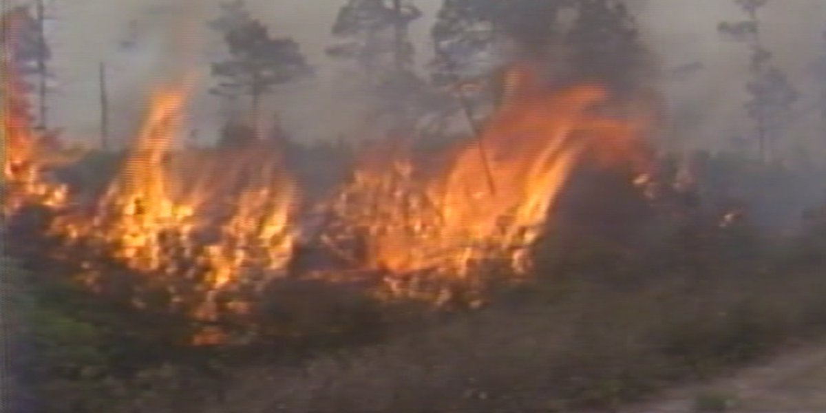 Eastern Carolina has history of massive wildfires