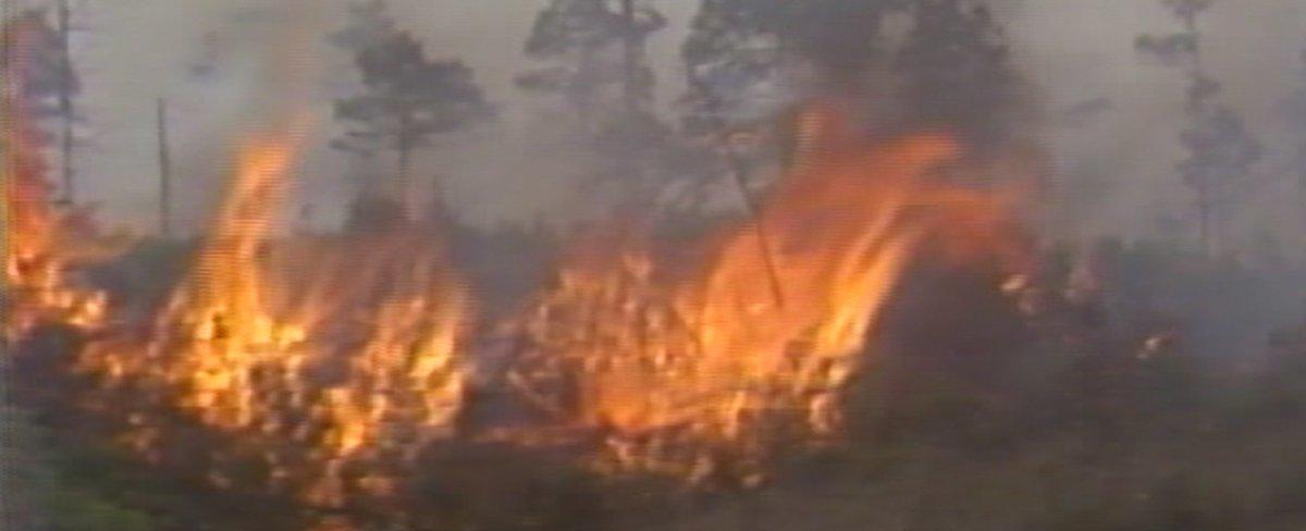 Eastern Carolina has history of massive wildfires