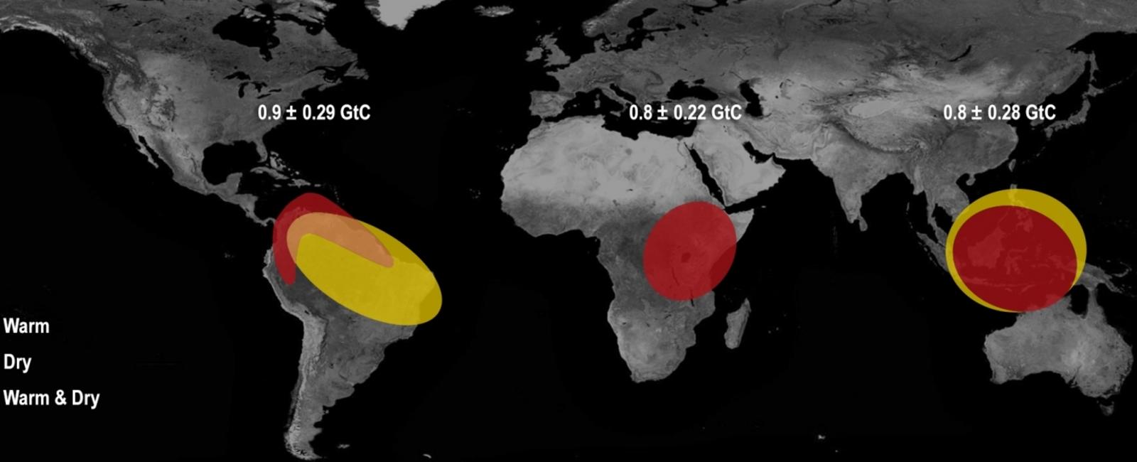 El Niño to bring extreme weather across world, could break heat records: UN