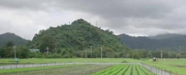 Researchers face pressure to modify crops under extreme weather