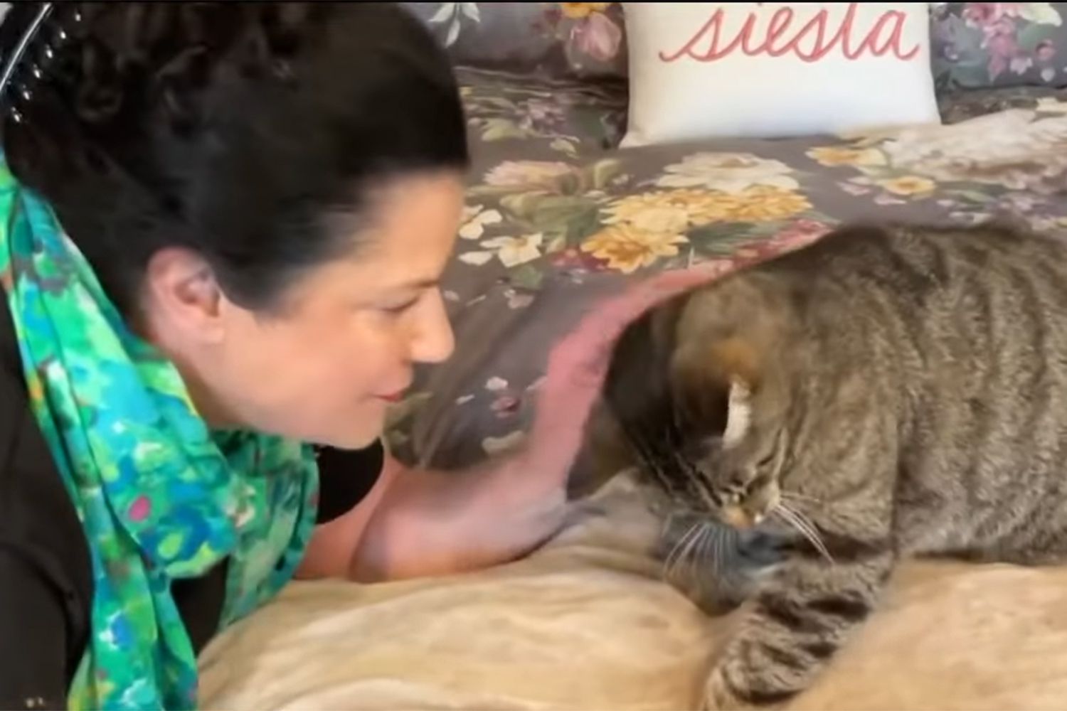 Cat Reunites With Owner 6 Years After Going Missing During Wildfires