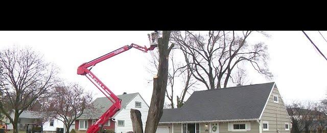 Wisconsin severe weather preparedness; experts say have a plan | FOX6 News Milwaukee