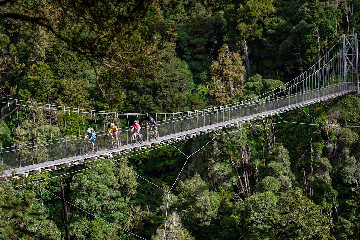 timber-trail-new-zealand-studio-zag-suspension-bridge