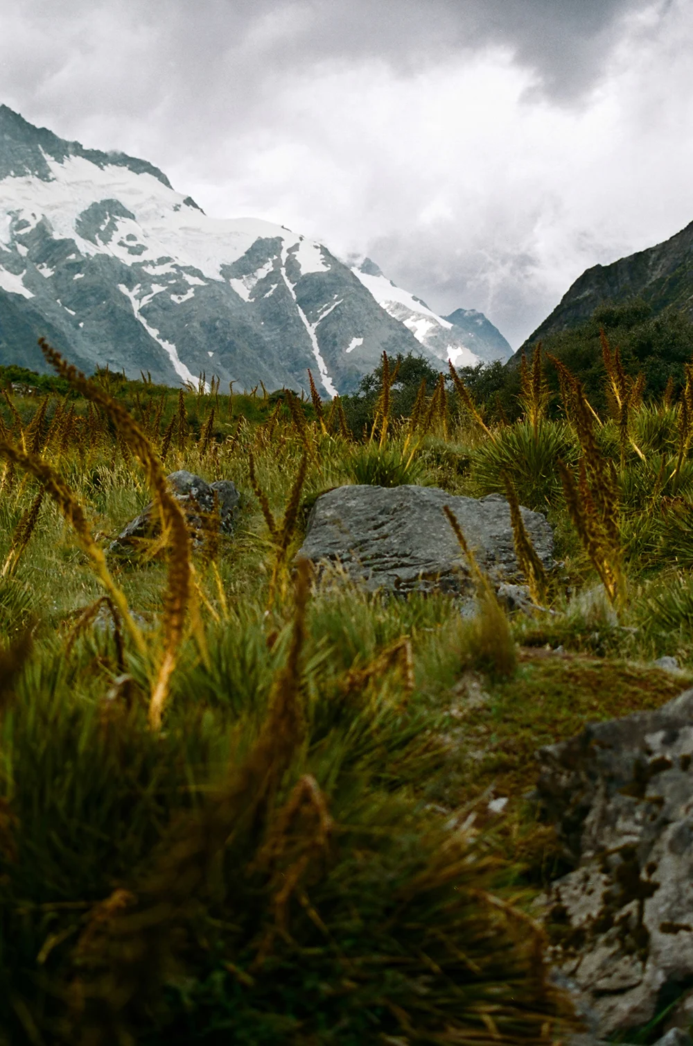 Spencer-Wells-New-Zealand-16-Fieldmag