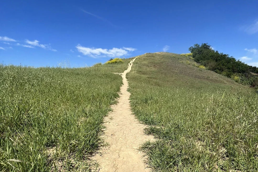 Los-Angeles-Hiking-Trails-upper-canyonback-trail