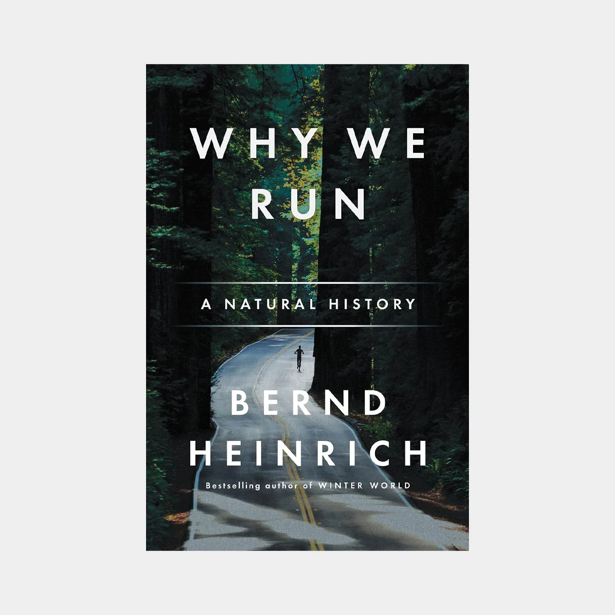 gifts-for-runners-why-we-run