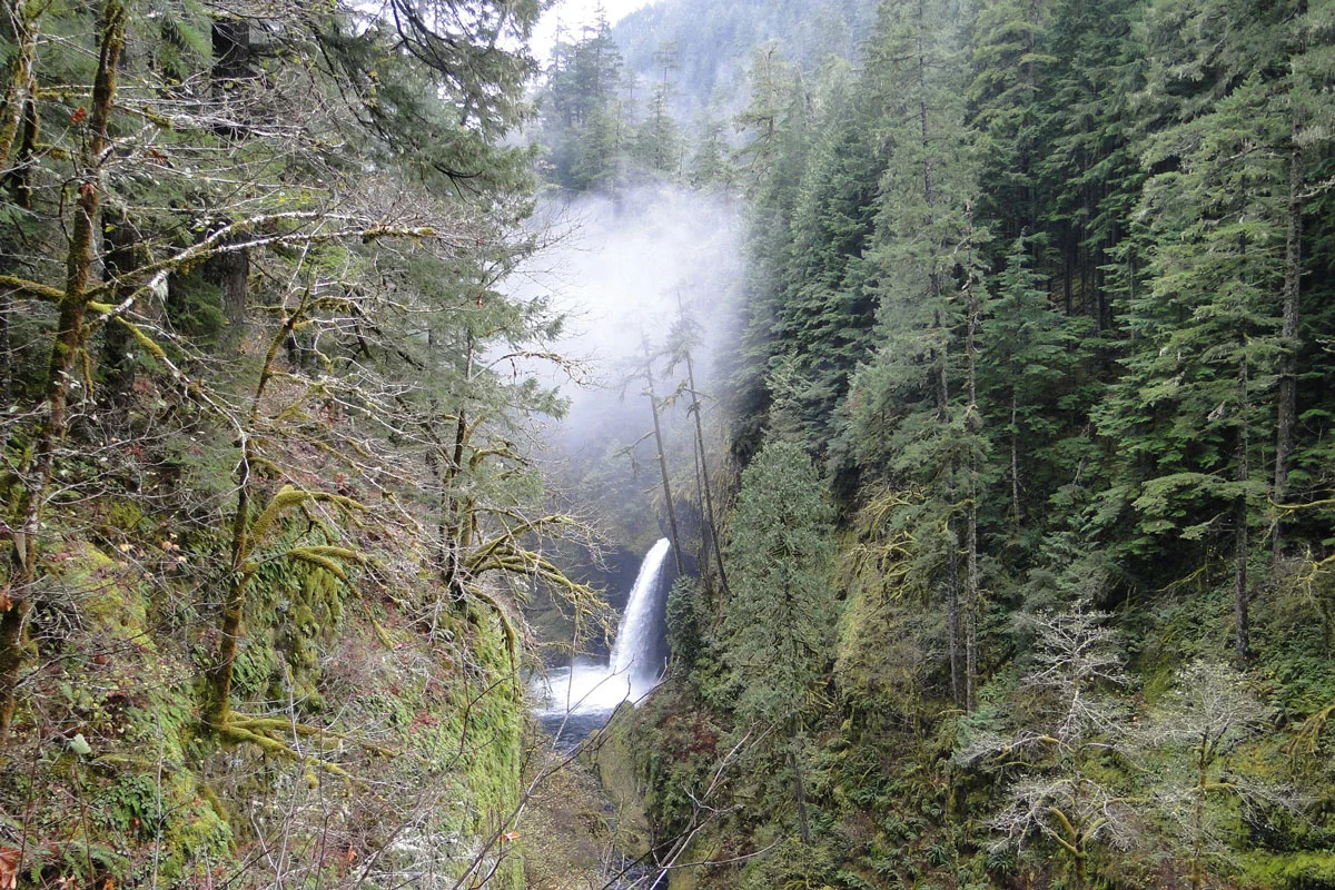 portland-hikes-eagle-creek-to-punchbowl-falls