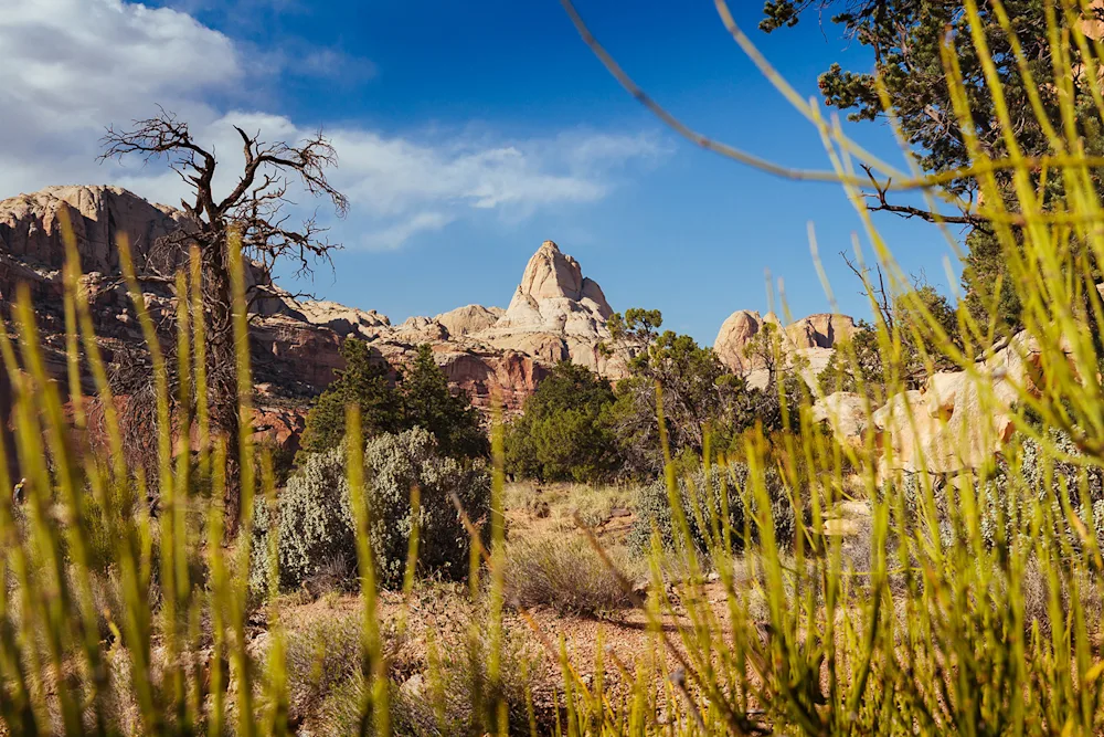 Canyoneering in Wild Utah