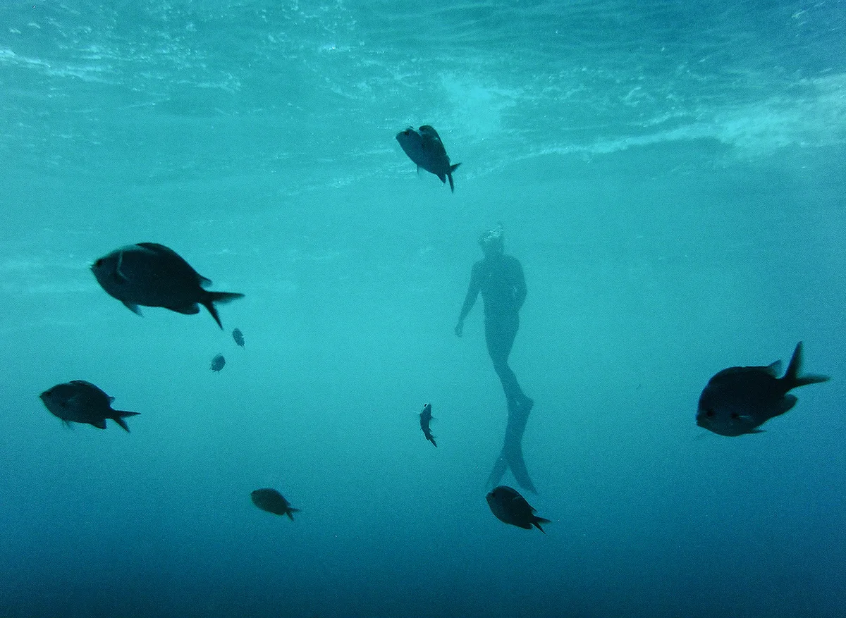 Andrew-T-Kearns-Nikonos-Diver-Fieldmag-8