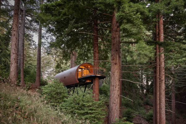 spyglass-treehouse-occidental-california