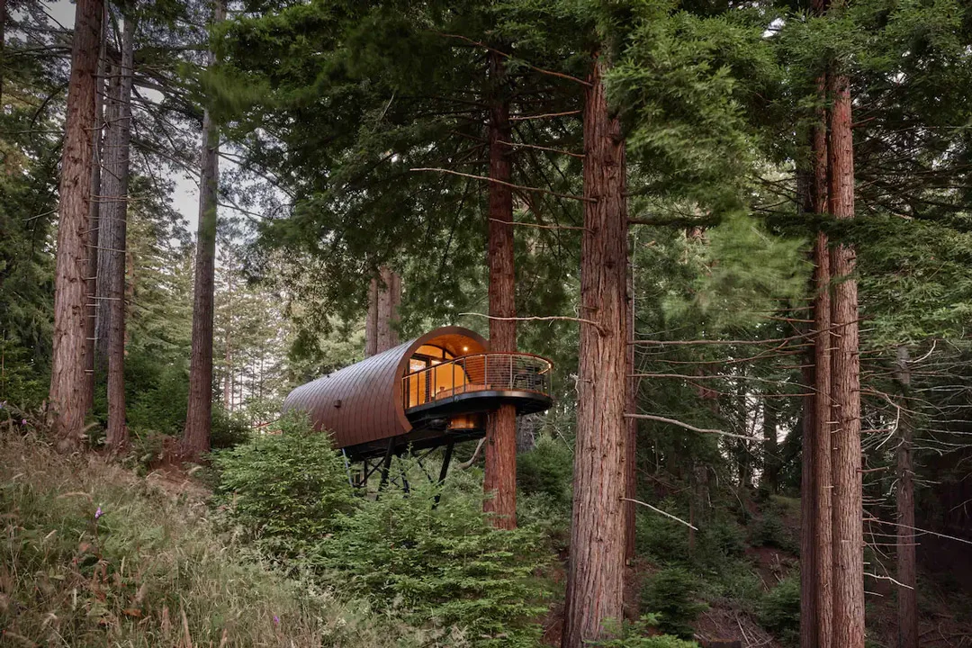 spyglass-treehouse-occidental-california