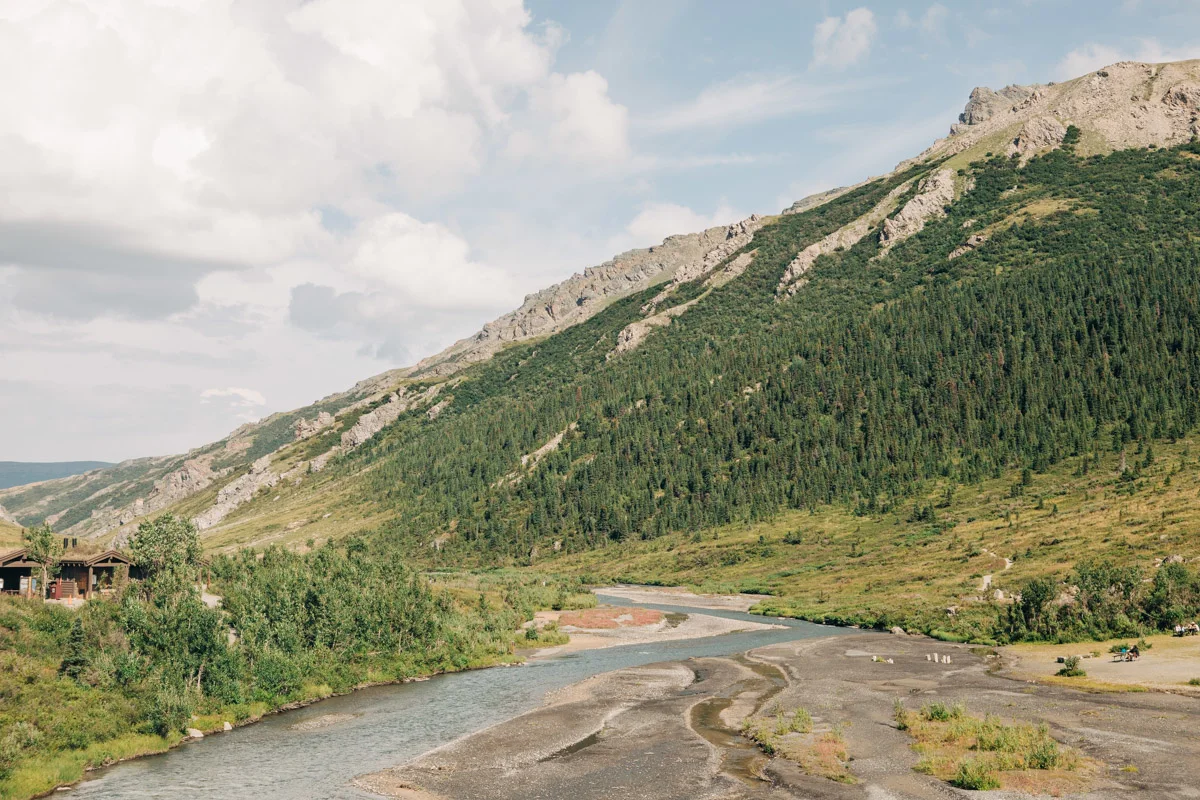 karthika gupta denali camping savage river trailhead