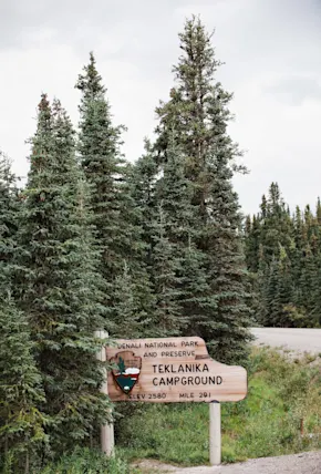 Denali National Park Camping Guide: What to Know About Planning & Visiting