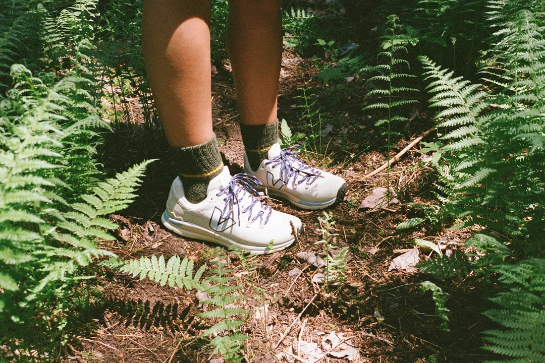 veja-fitz-roy-eastwind-catskills-forest