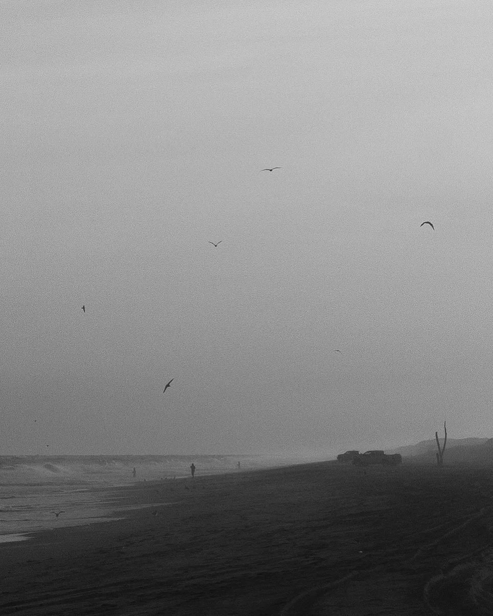 AP-interview-Beach
