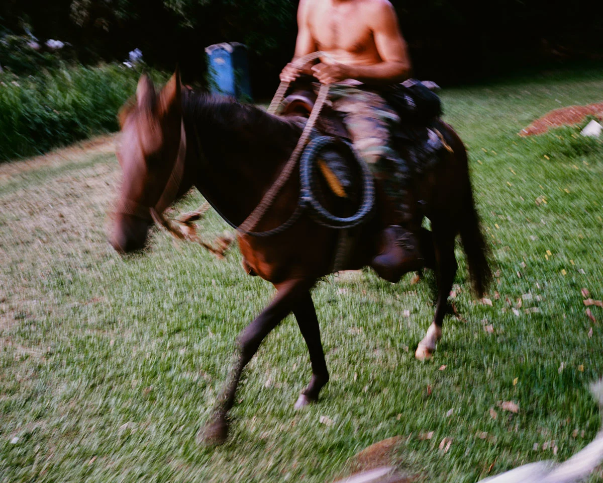 island-time-vivian-kim-horseback-riding