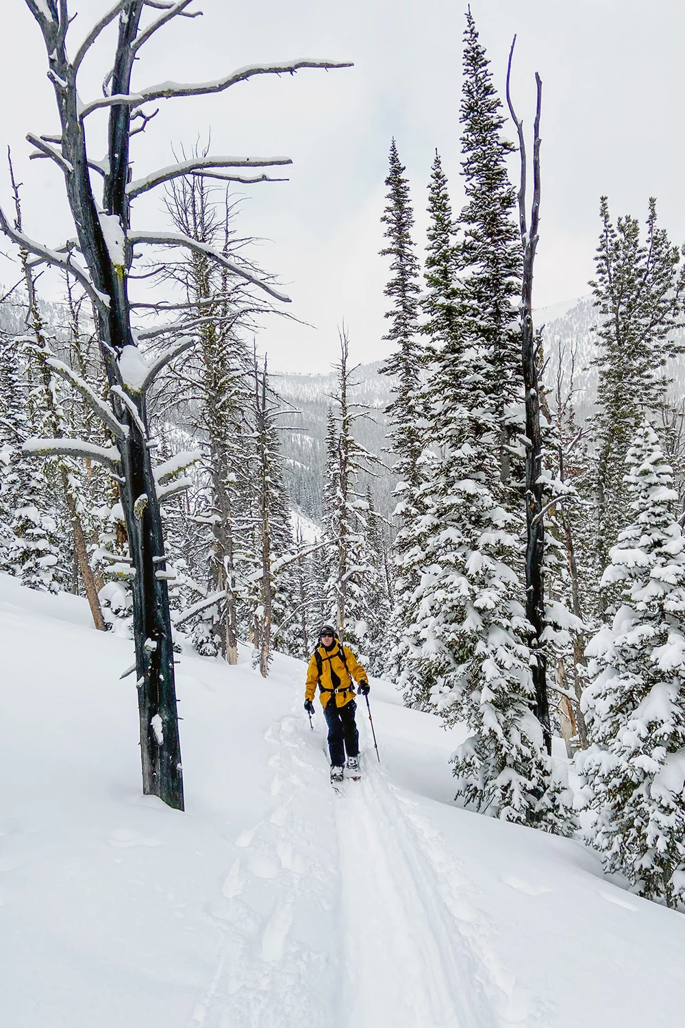 Fjell-Splitboard-Review-11