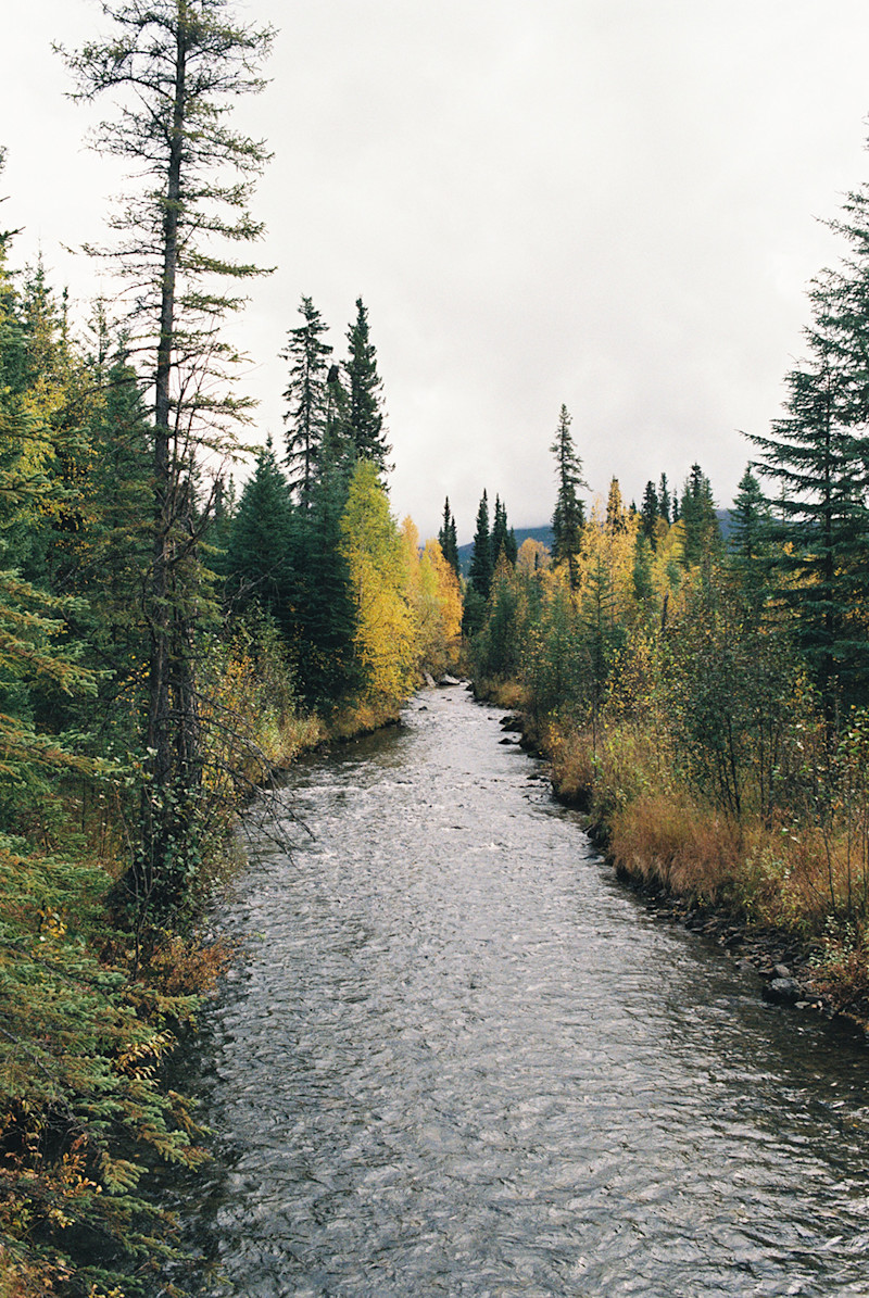 alaska camping fall fairbanks hiking ak near chena denali springs hikes