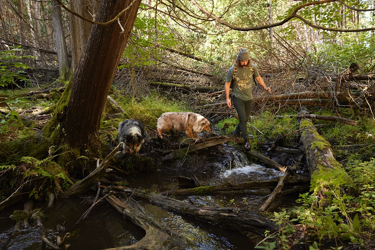 old-time-hawkey-hike-stream