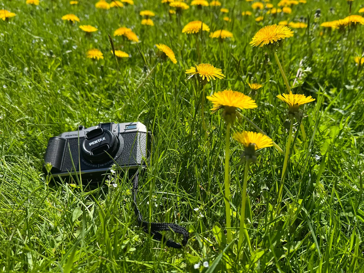pentax-17-test-shots-daniel-varghese-camera-hero