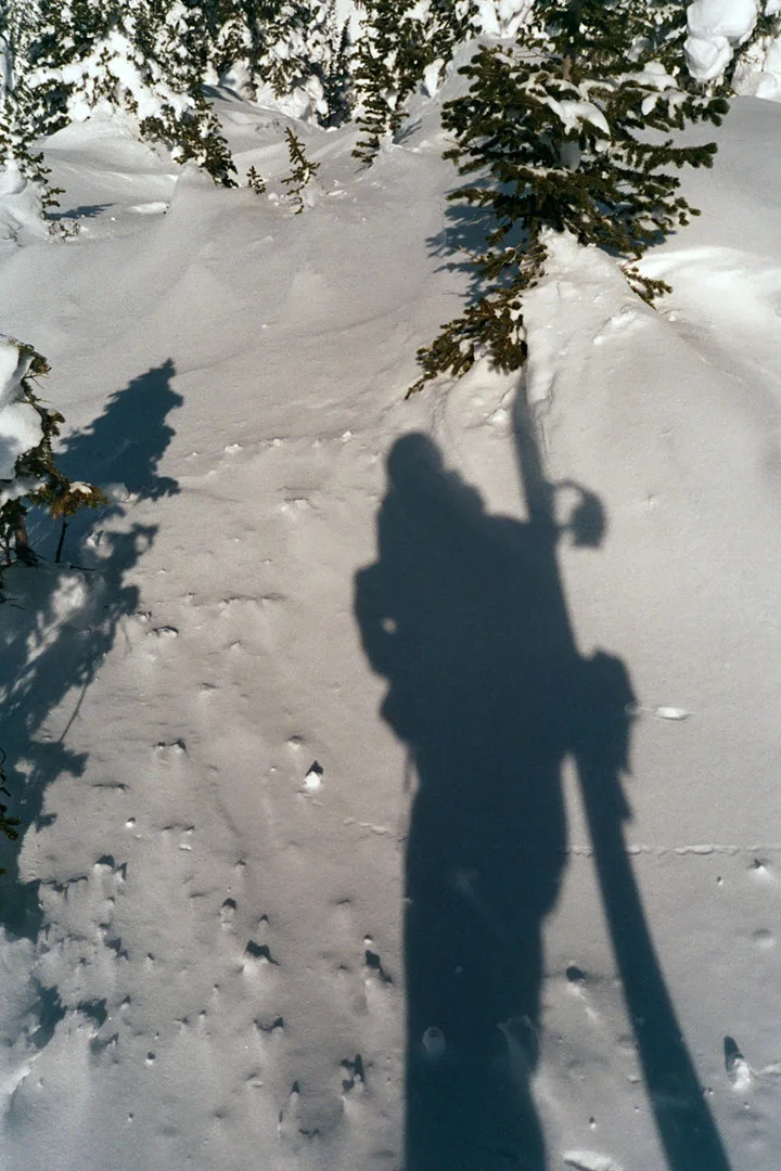 Rosemeyer-Vans-Snow-Days-6B