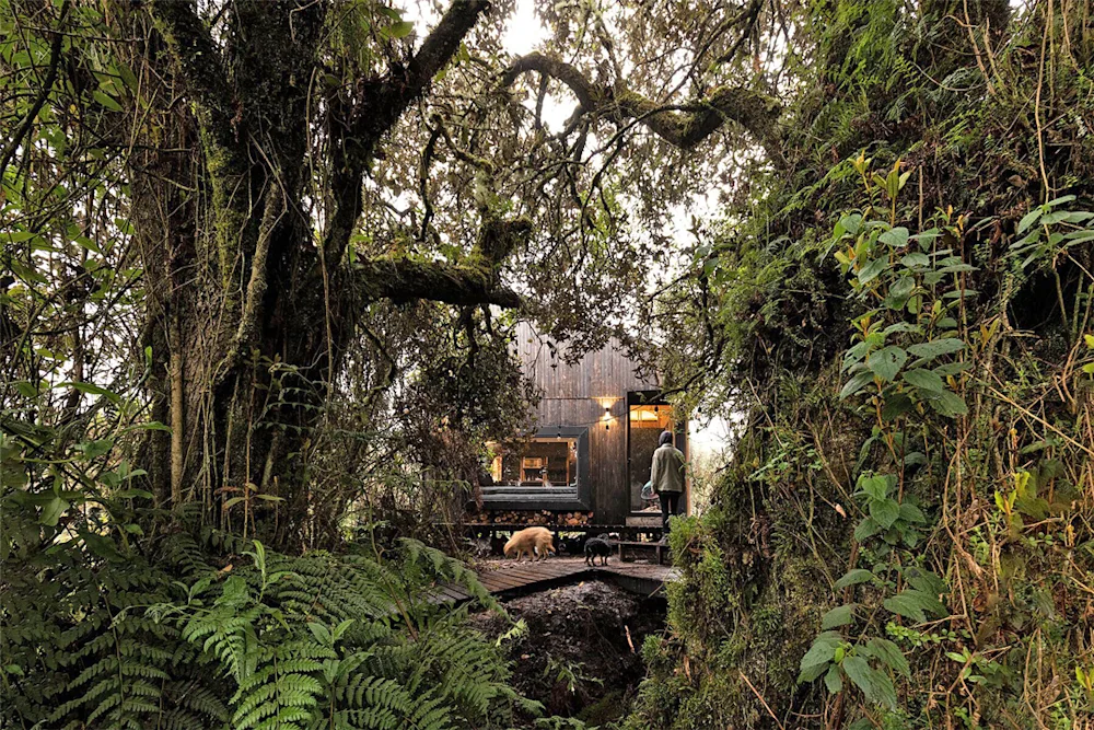 This Modern Cabin in the Ecuadorian Andes Explores How We Live & Work