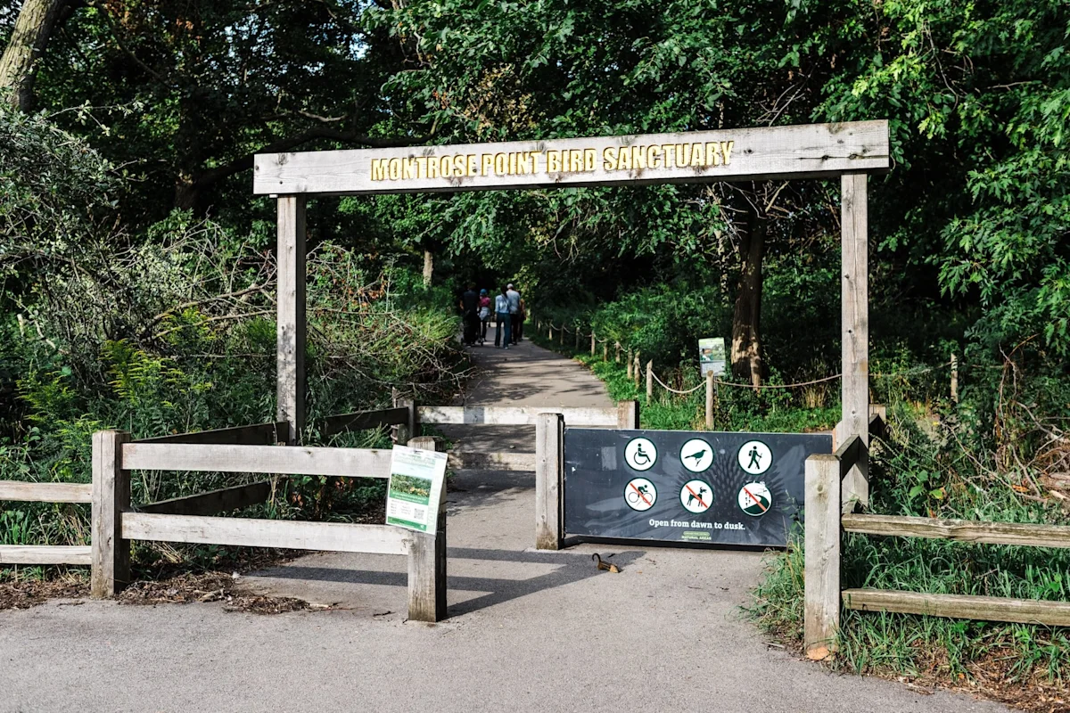 gupta-chicago-outerbelt-guide-montrose-point-bird-sanctuary
