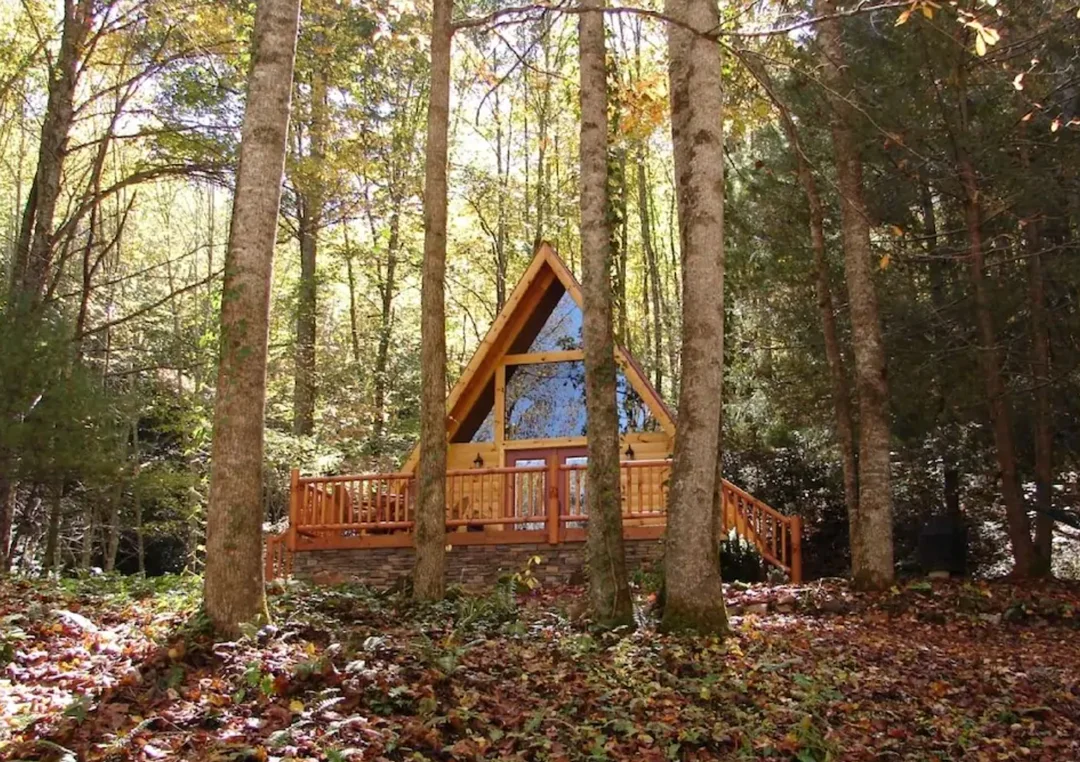 asheville-north-carolina-cabins-sylva-cove-cabin-2