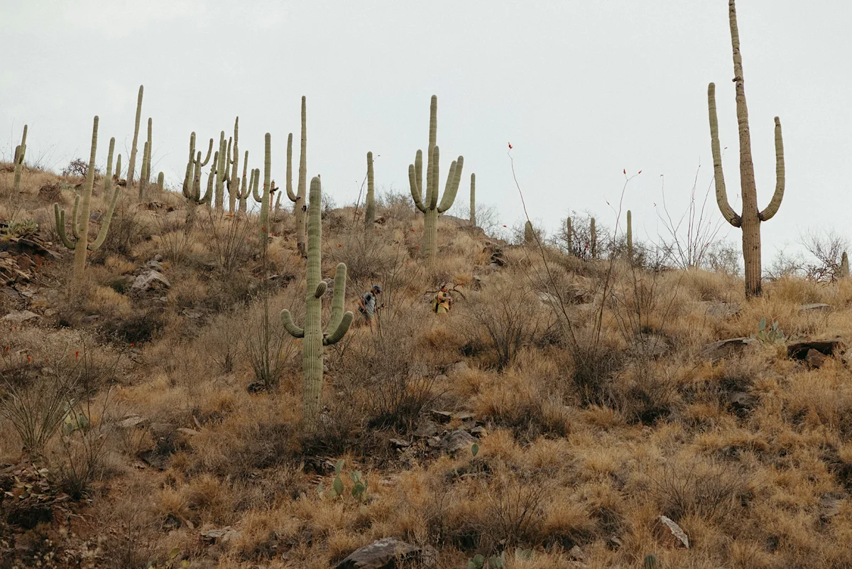 Sarah-Attar-Mt-Lemmon-MHW-1