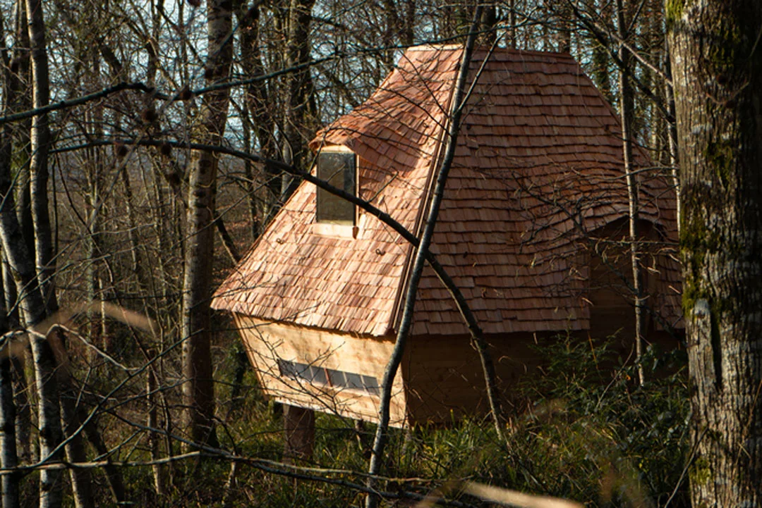 woodland-cabin-england-aa-design-and-made-2