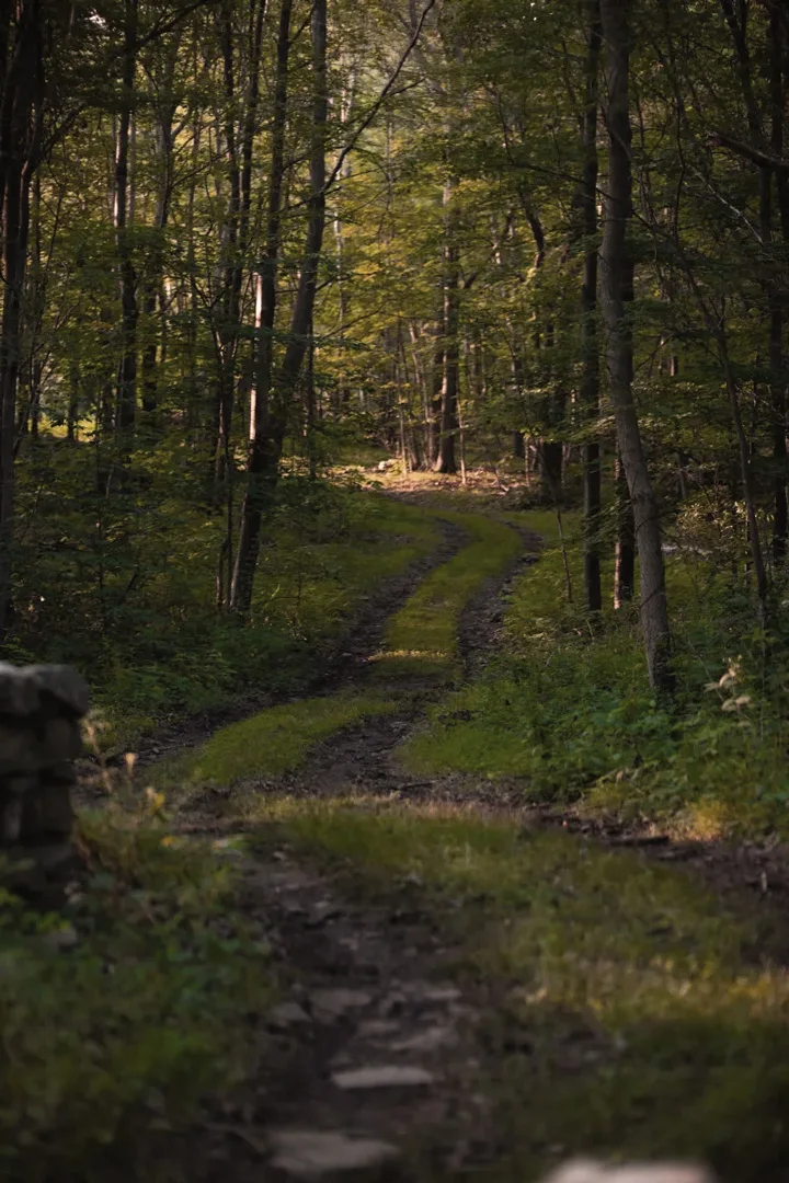 offsite-cabin-wassaic-new-york-property-path